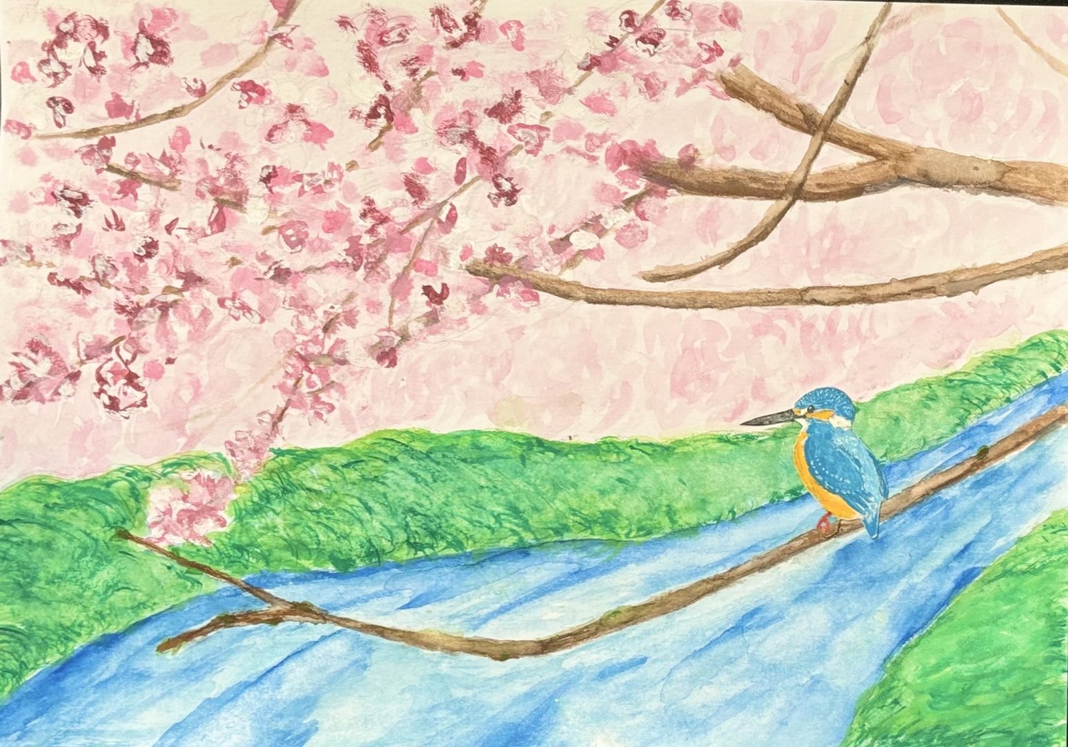 Common Kingfisher (Alcedo atthis)