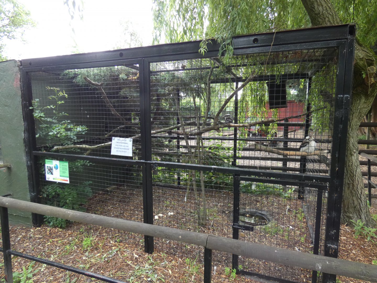 Common kookaburra aviary (Greenacres Animal Park)
