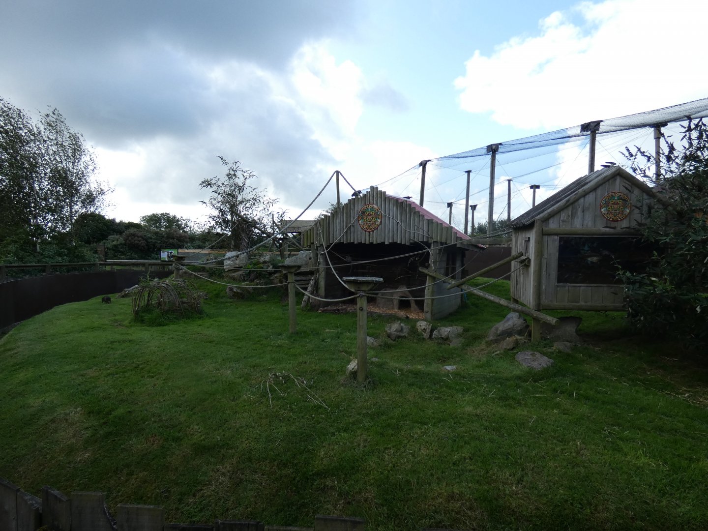 Common Marmoset and Agouti enclosure