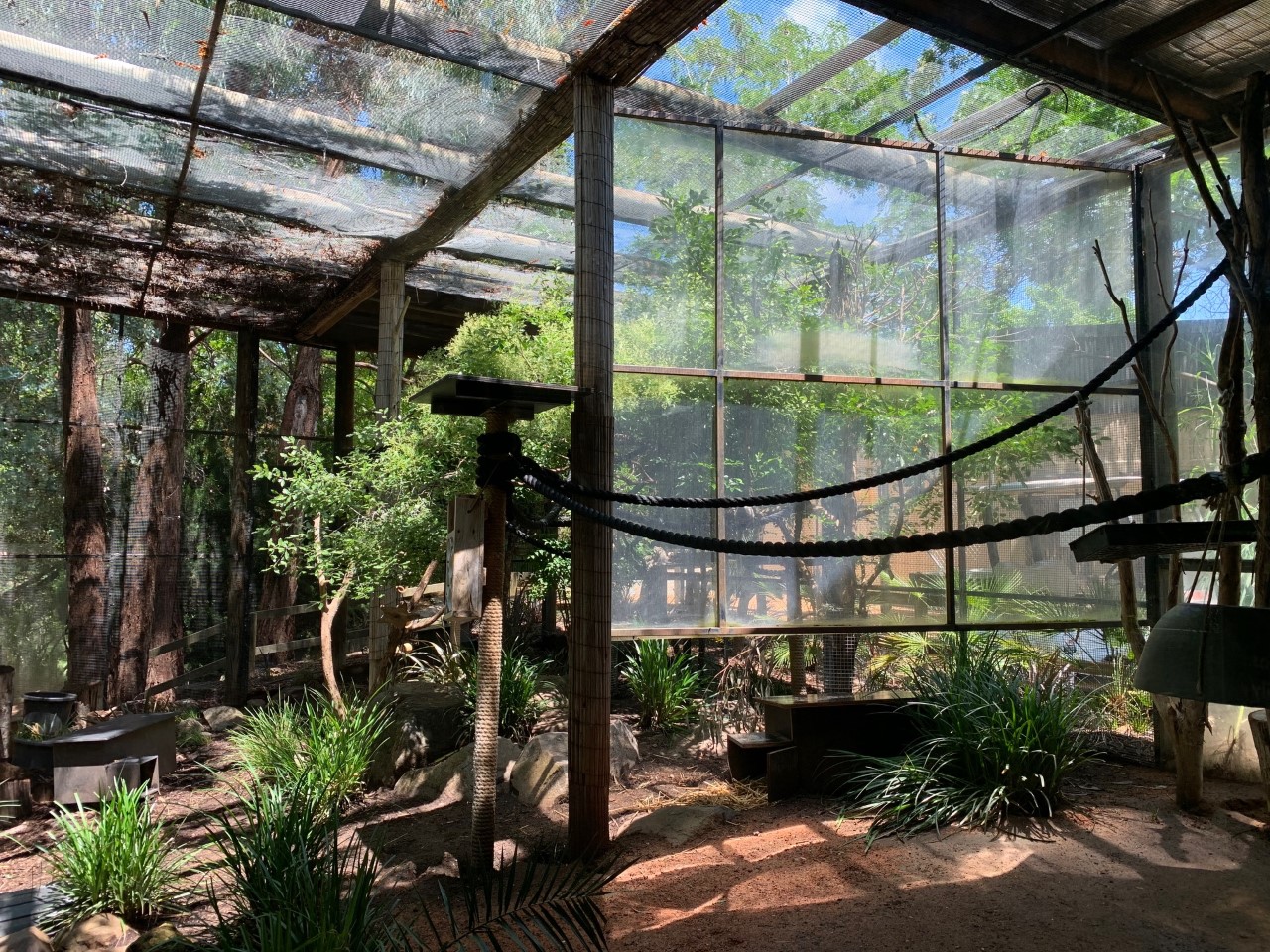 Common Marmoset and Red-rumped Agouti Enclosure
