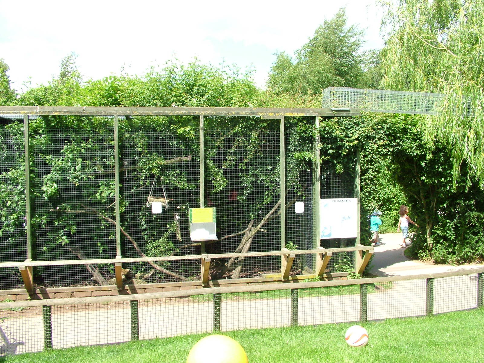 Common Marmoset cage at Tropical Butterfly House 13/06/09