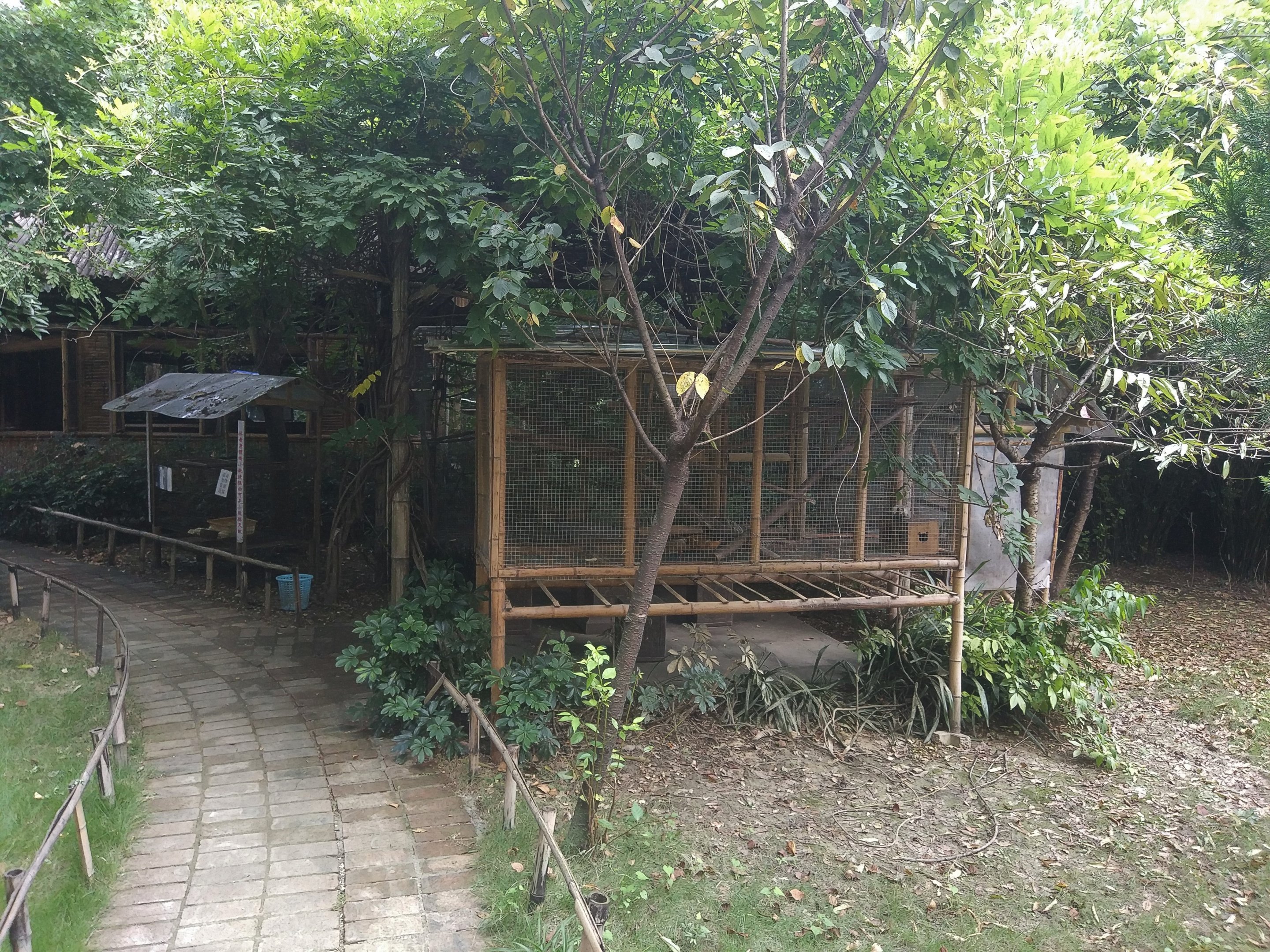 Common Marmoset Cage