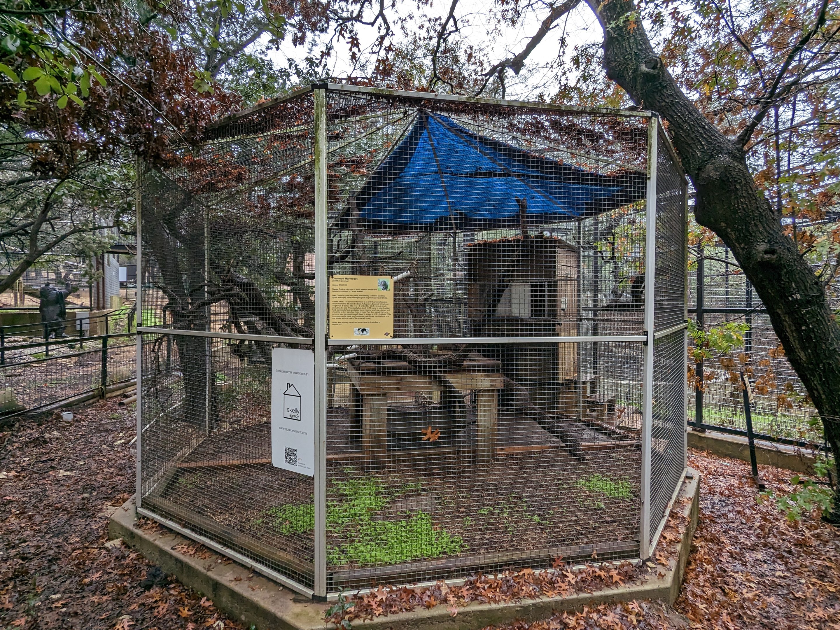 Common marmoset cage