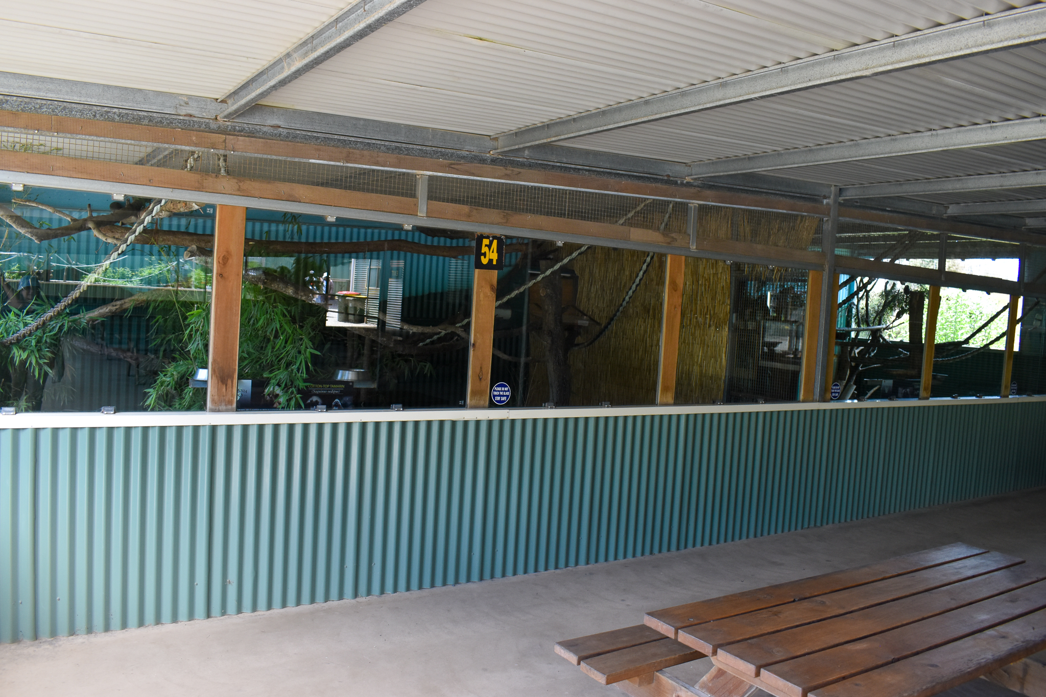 Common Marmoset/Cottontop Tamarin enclosures