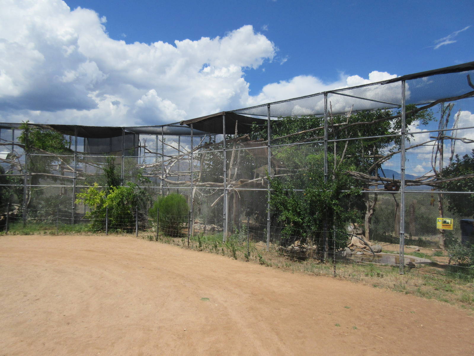 Common Marmoset/Desert Tortoise Exhibit - enormous!