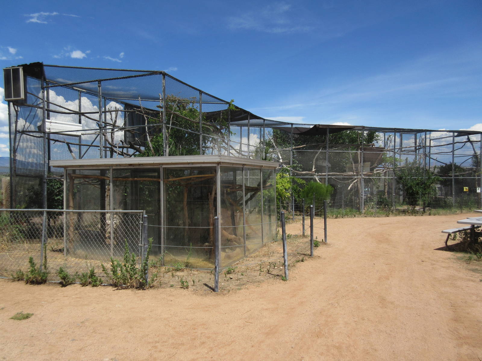 Common Marmoset/Desert Tortoise Exhibit - enormous!