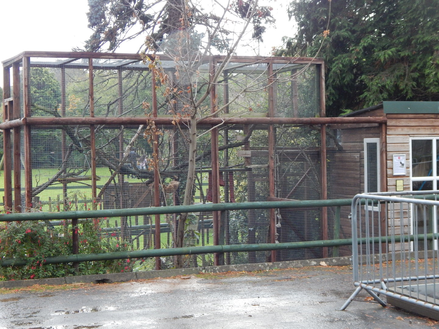 Common marmoset enclosure 051122