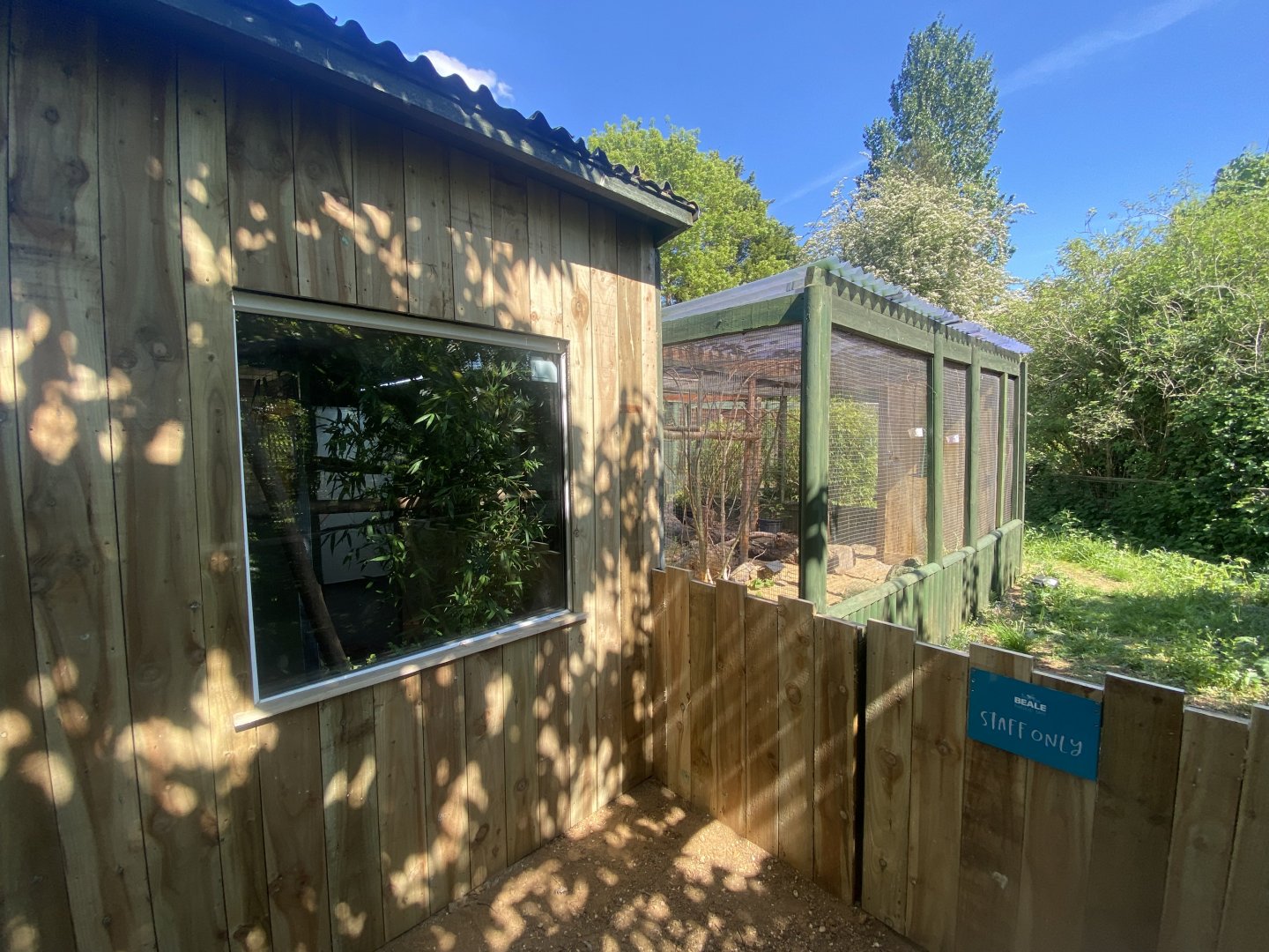 Common marmoset enclosure 090525