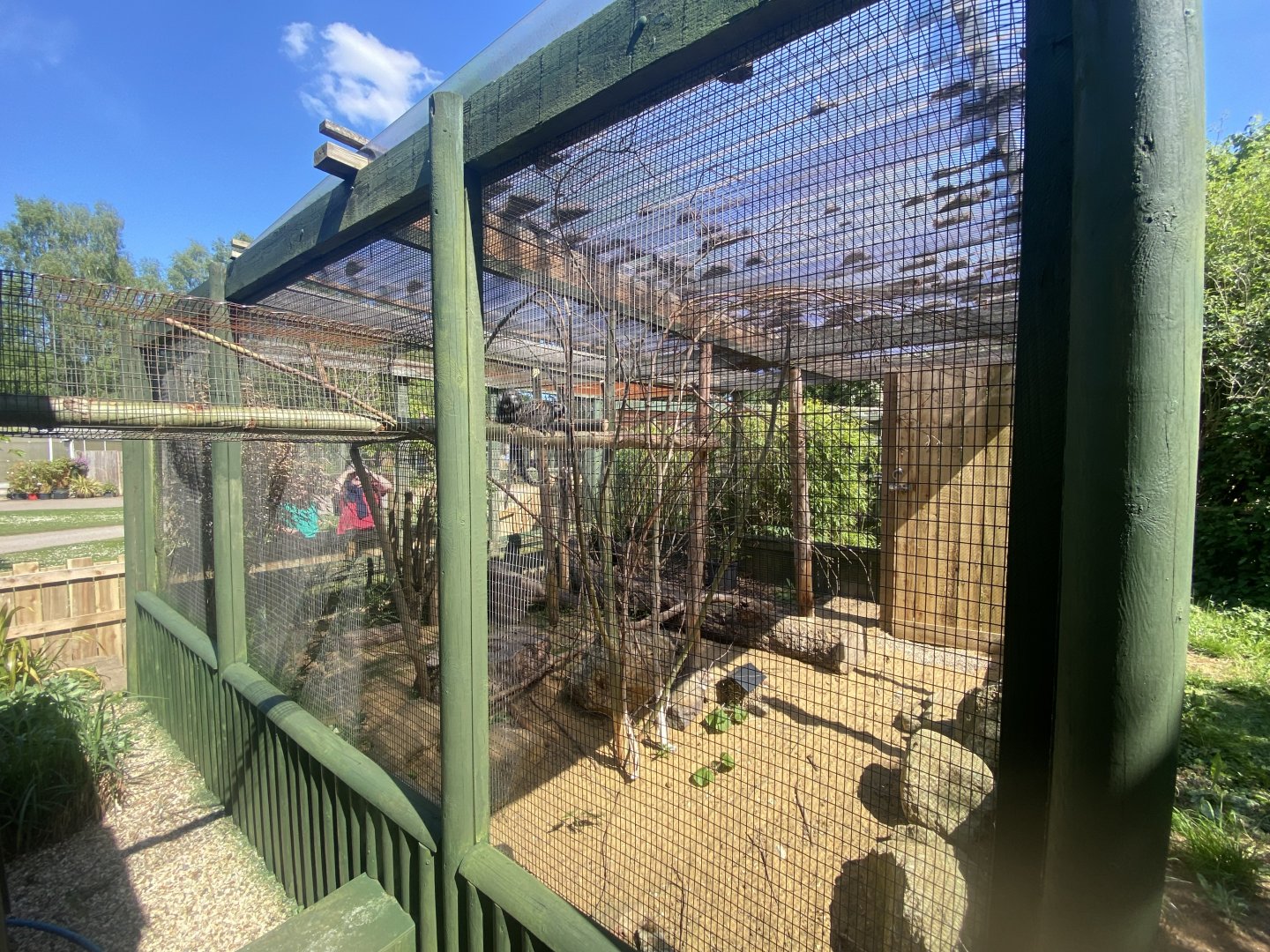 Common marmoset enclosure 090525