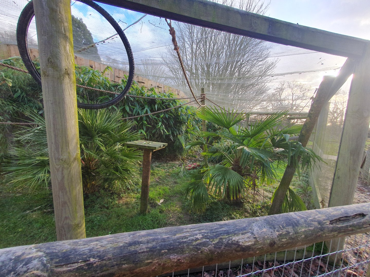 Common Marmoset enclosure 17/12/23