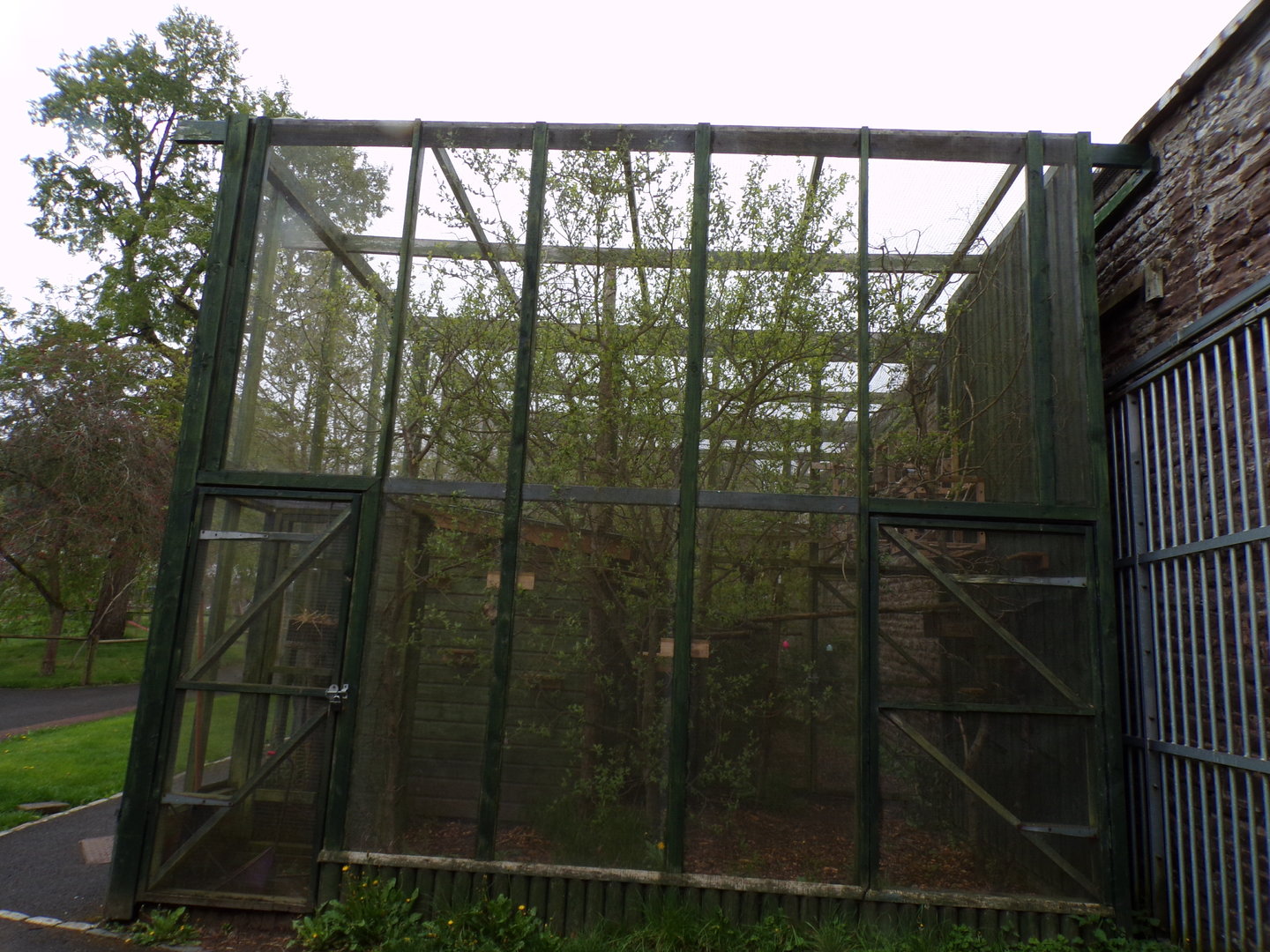 Common marmoset enclosure 7.5.23