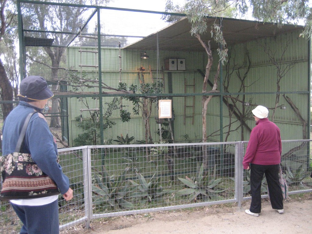 Common Marmoset enclosure
