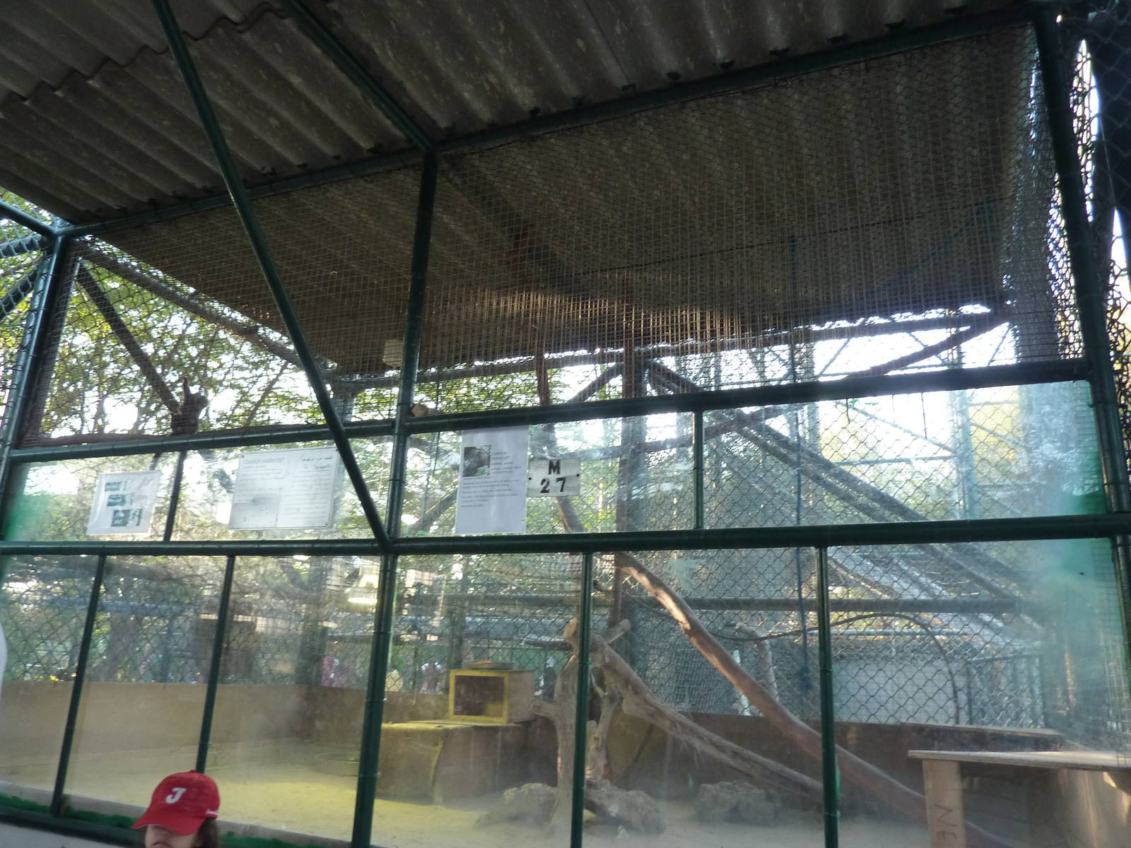 Common marmoset enclosure