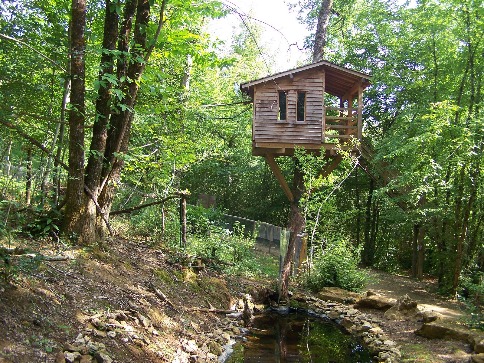 Common marmoset enclosure