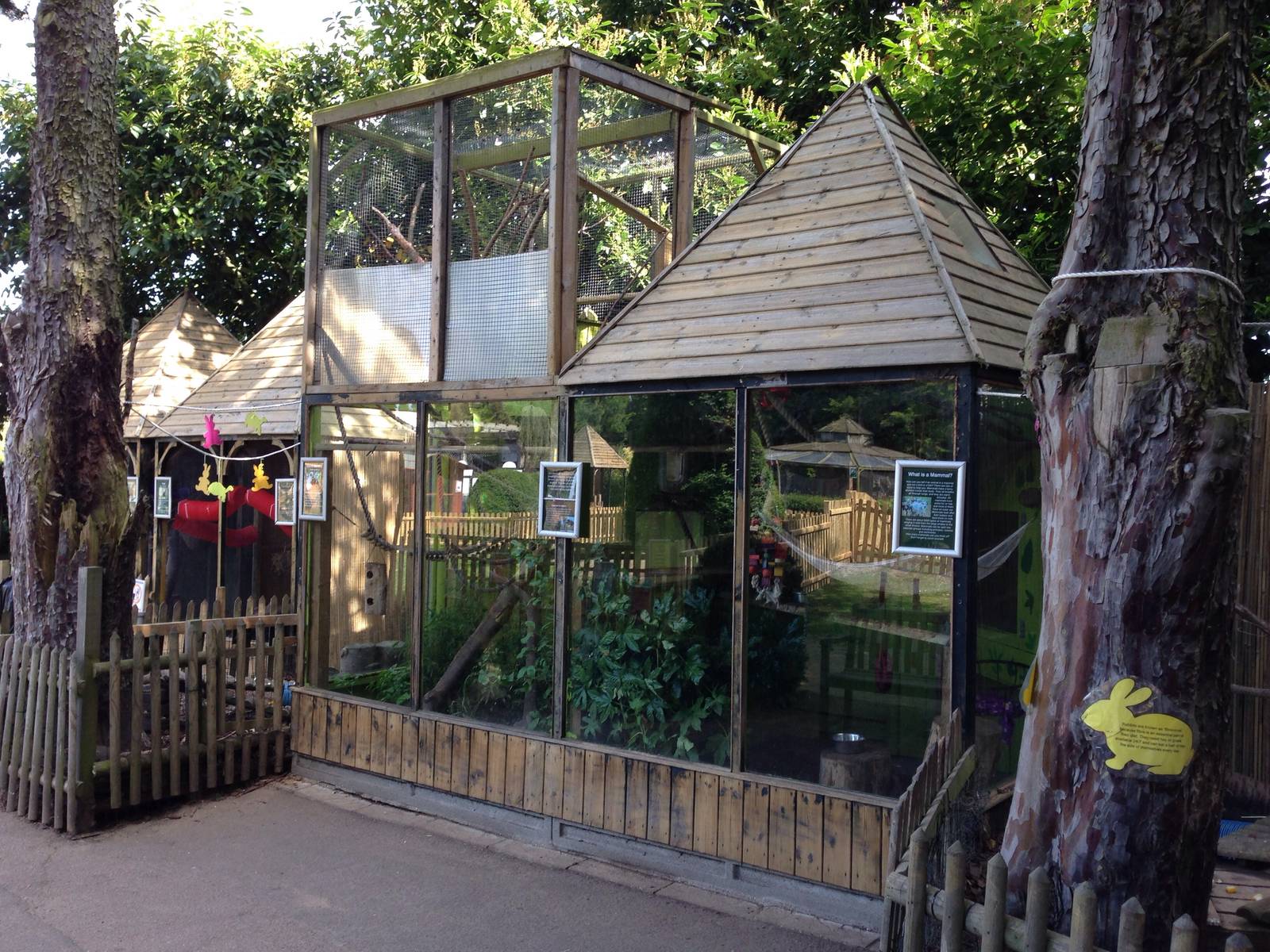 Common marmoset enclosure