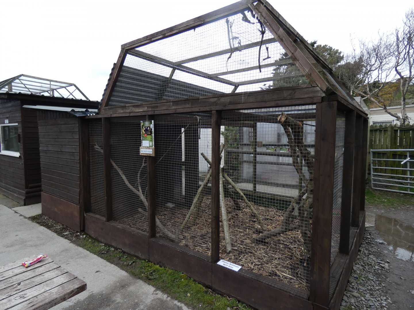Common Marmoset Enclosure