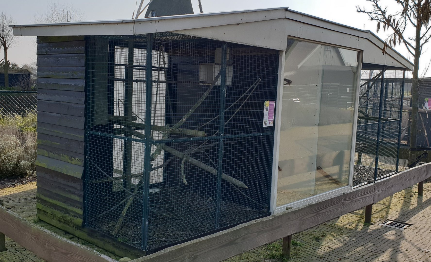 Common marmoset enclosure