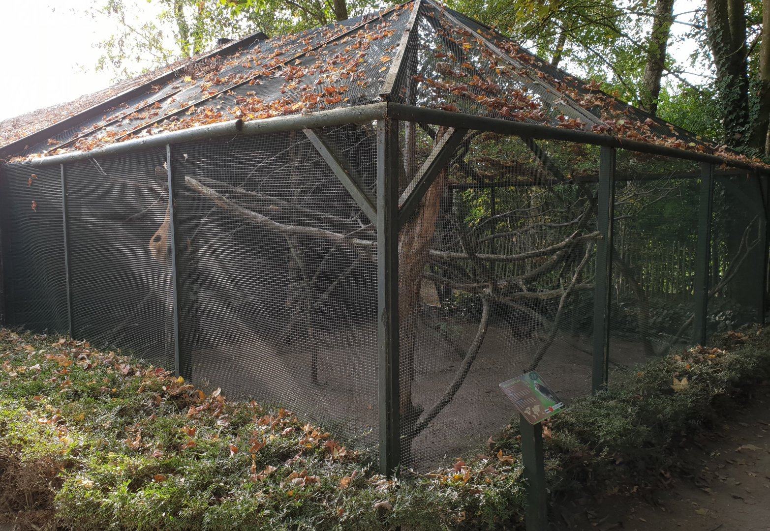 Common marmoset-enclosure