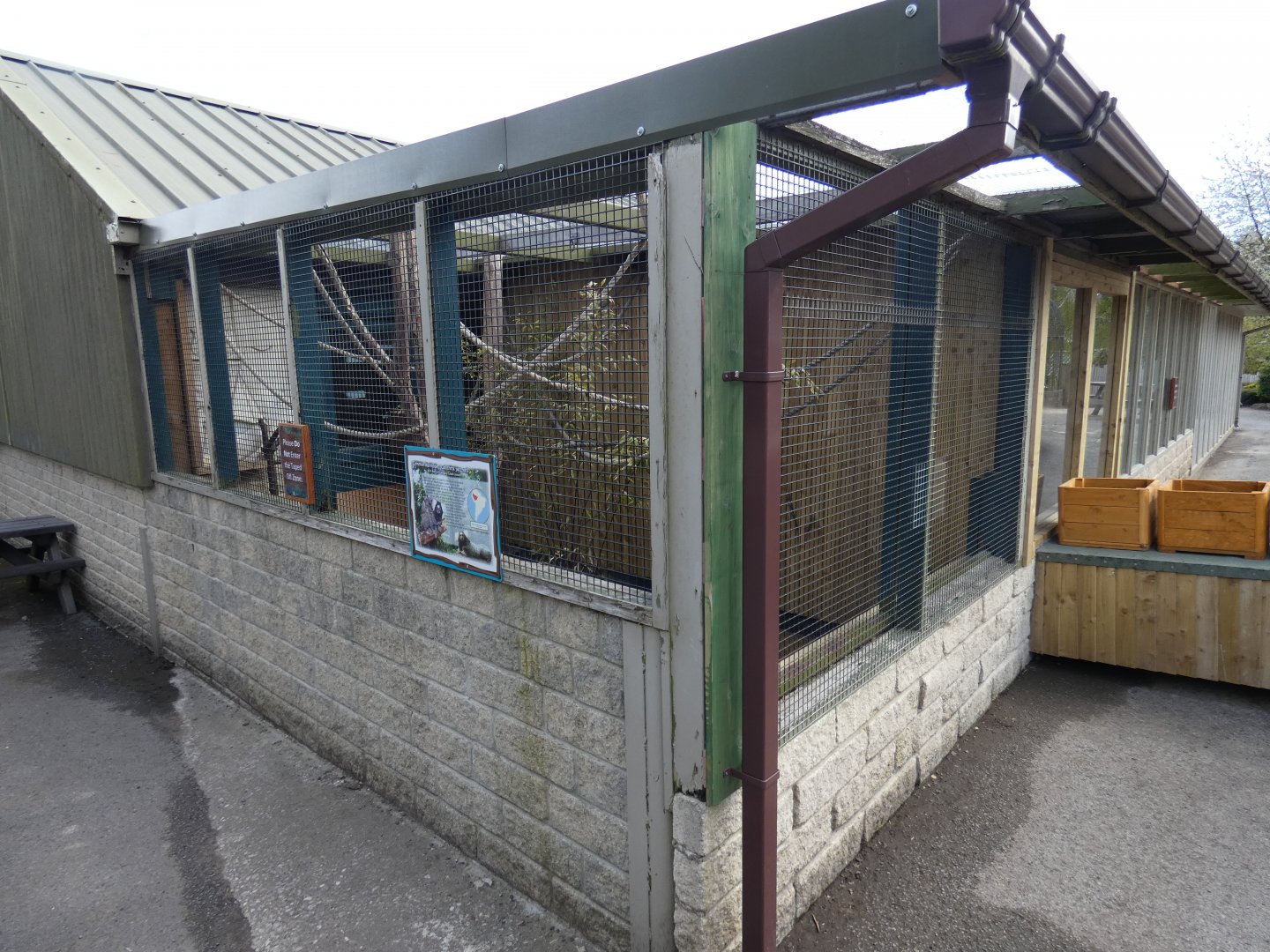 Common marmoset enclosure