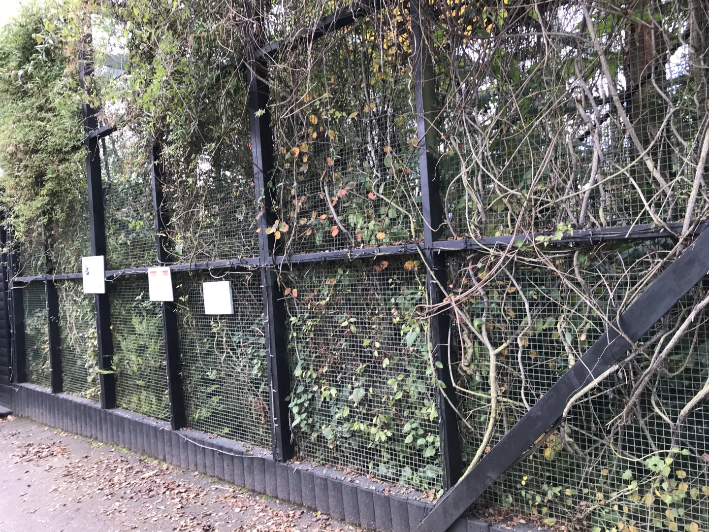 Common marmoset enclosure