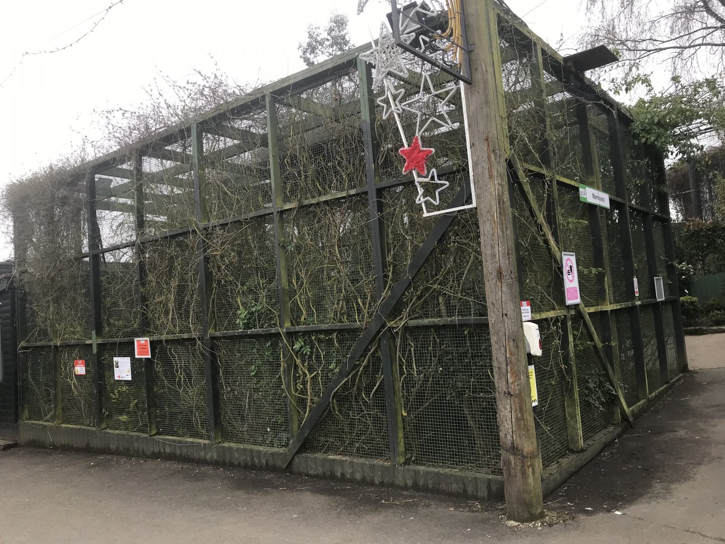 Common marmoset enclosure