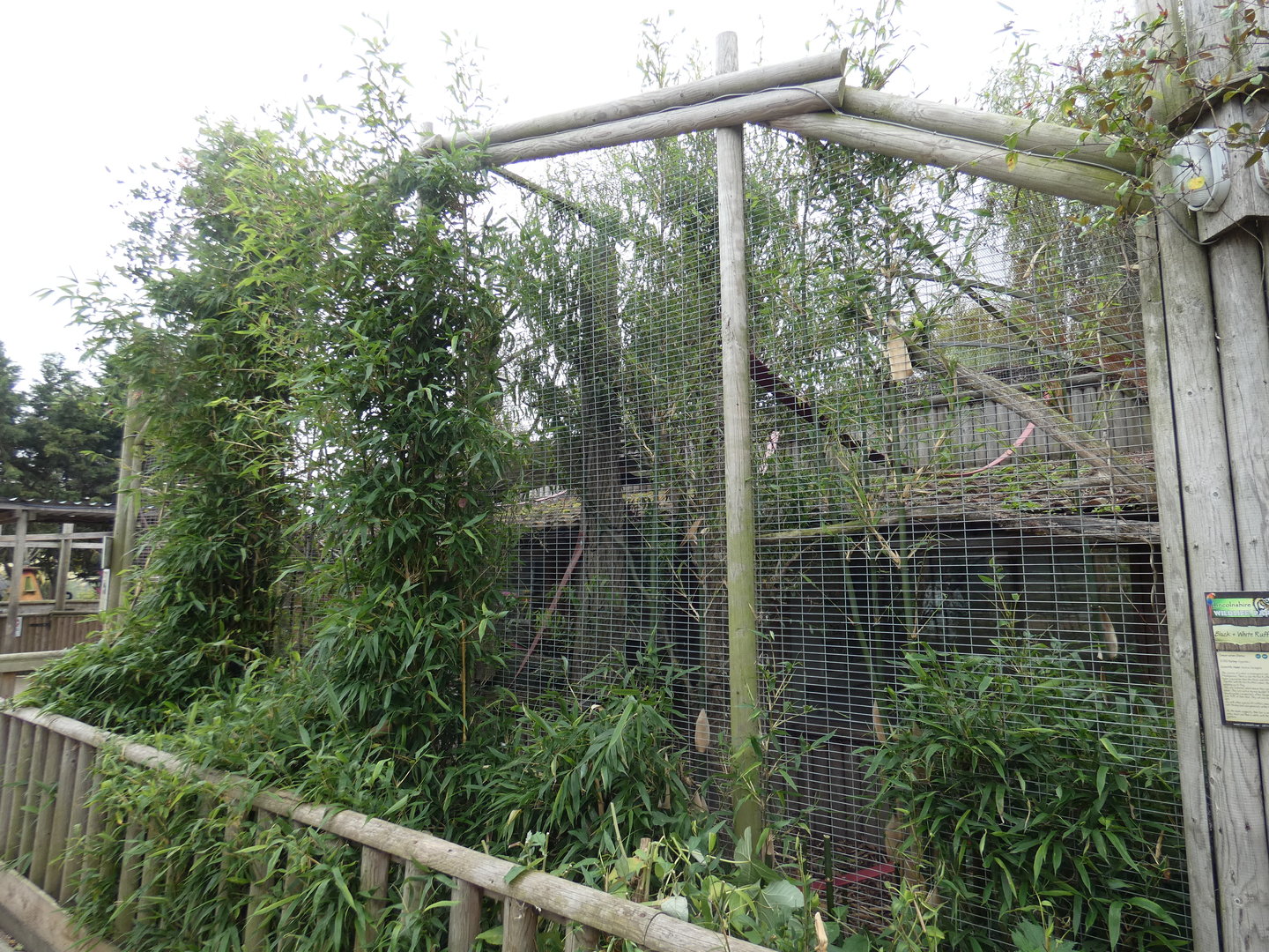 Common marmoset enclosure