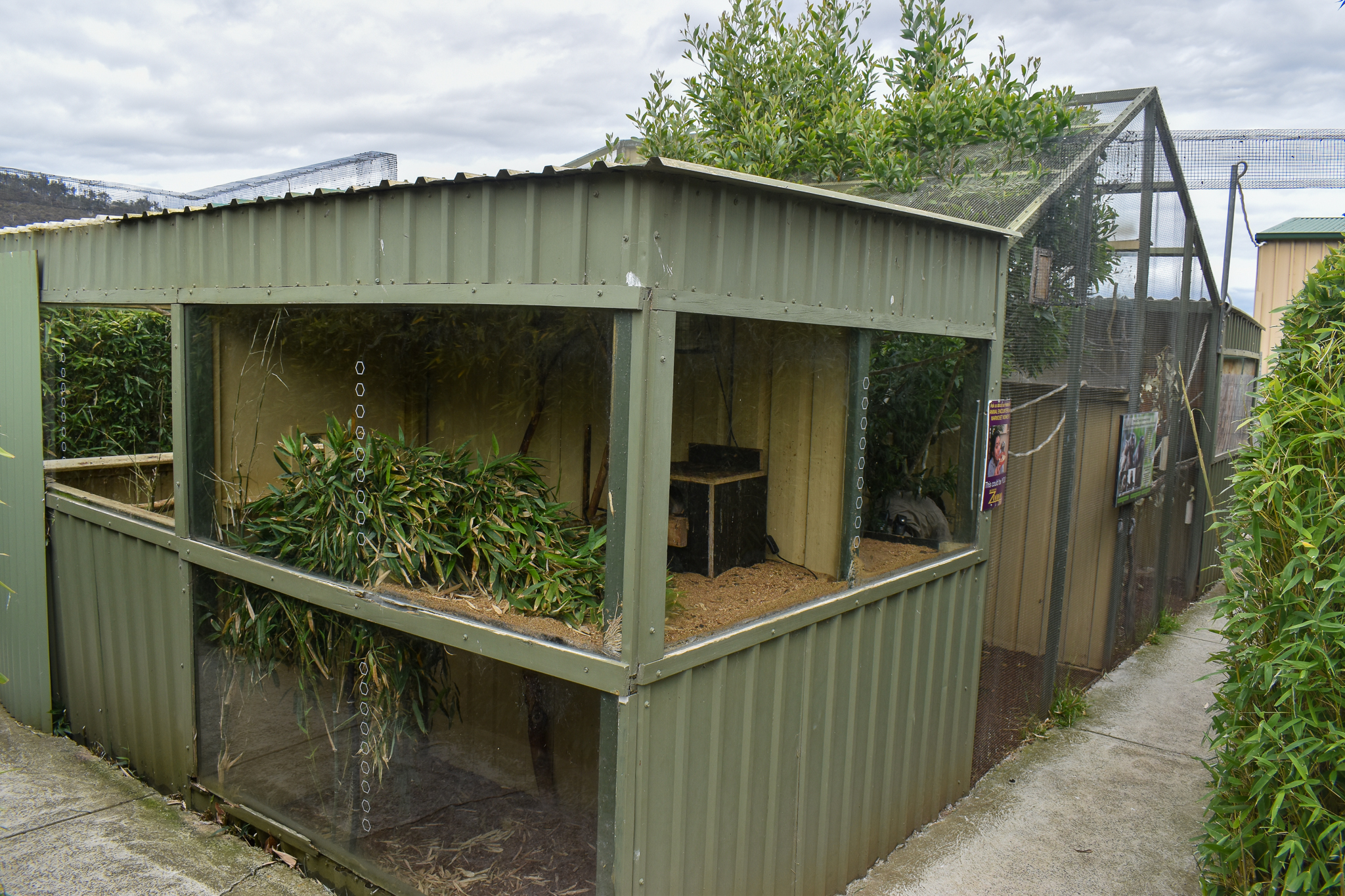 Common Marmoset enclosure