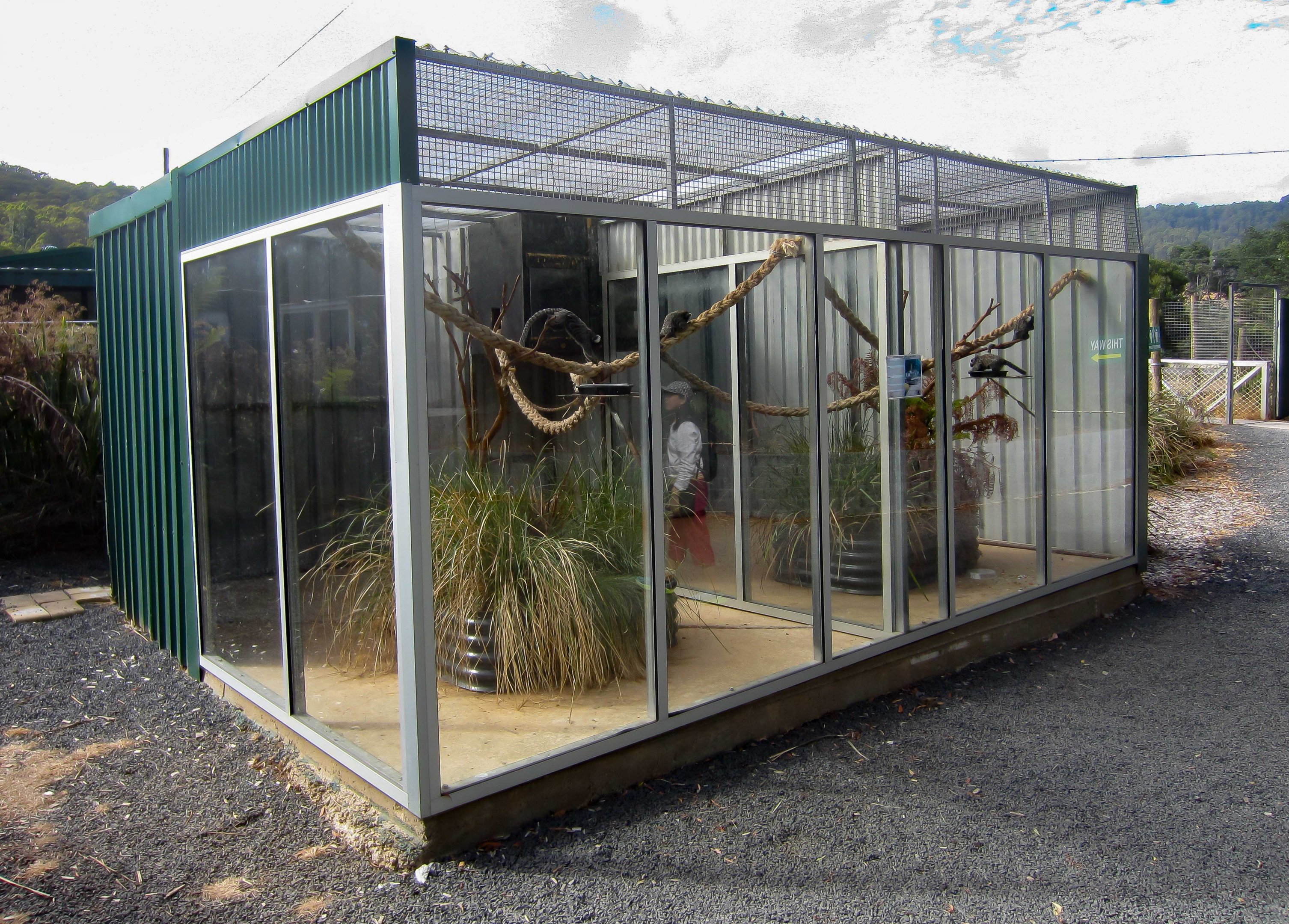 Common Marmoset enclosure