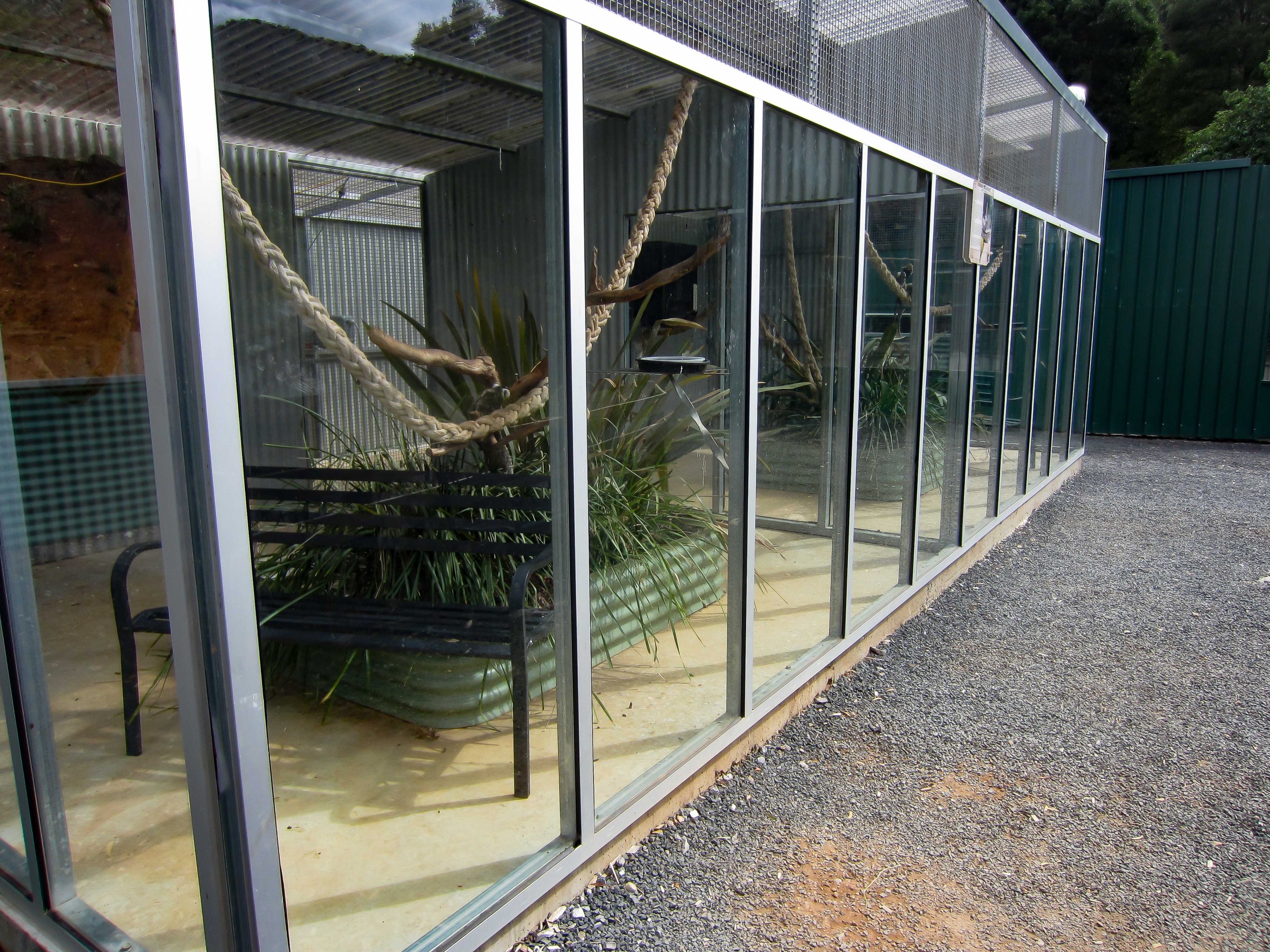 Common Marmoset enclosure