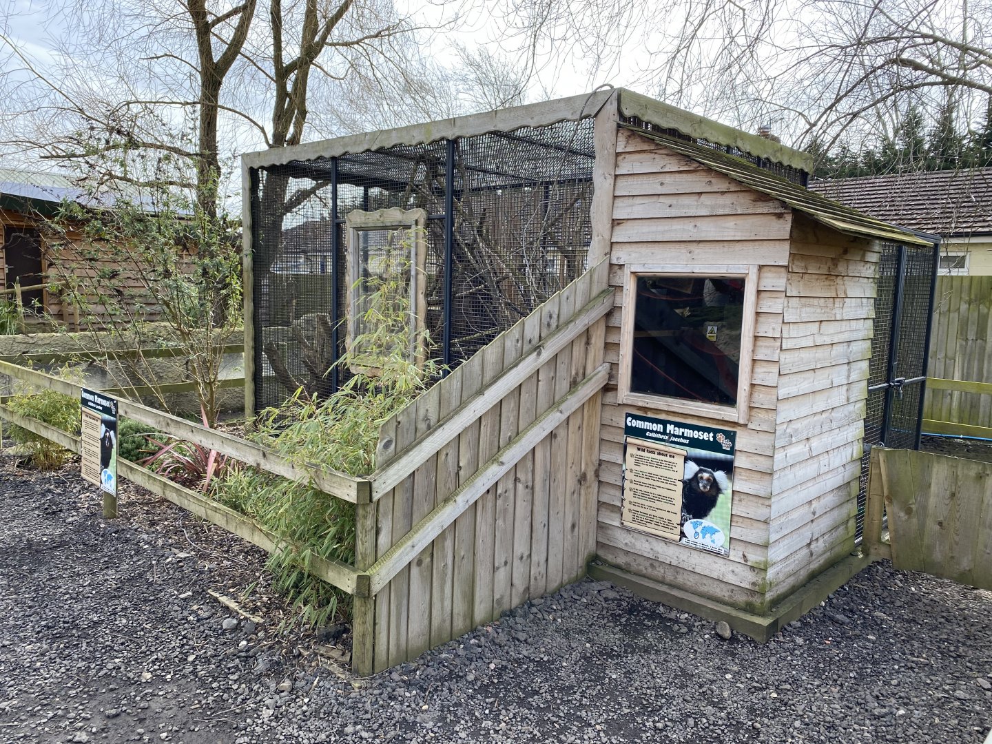 Common marmoset exhibit 070320