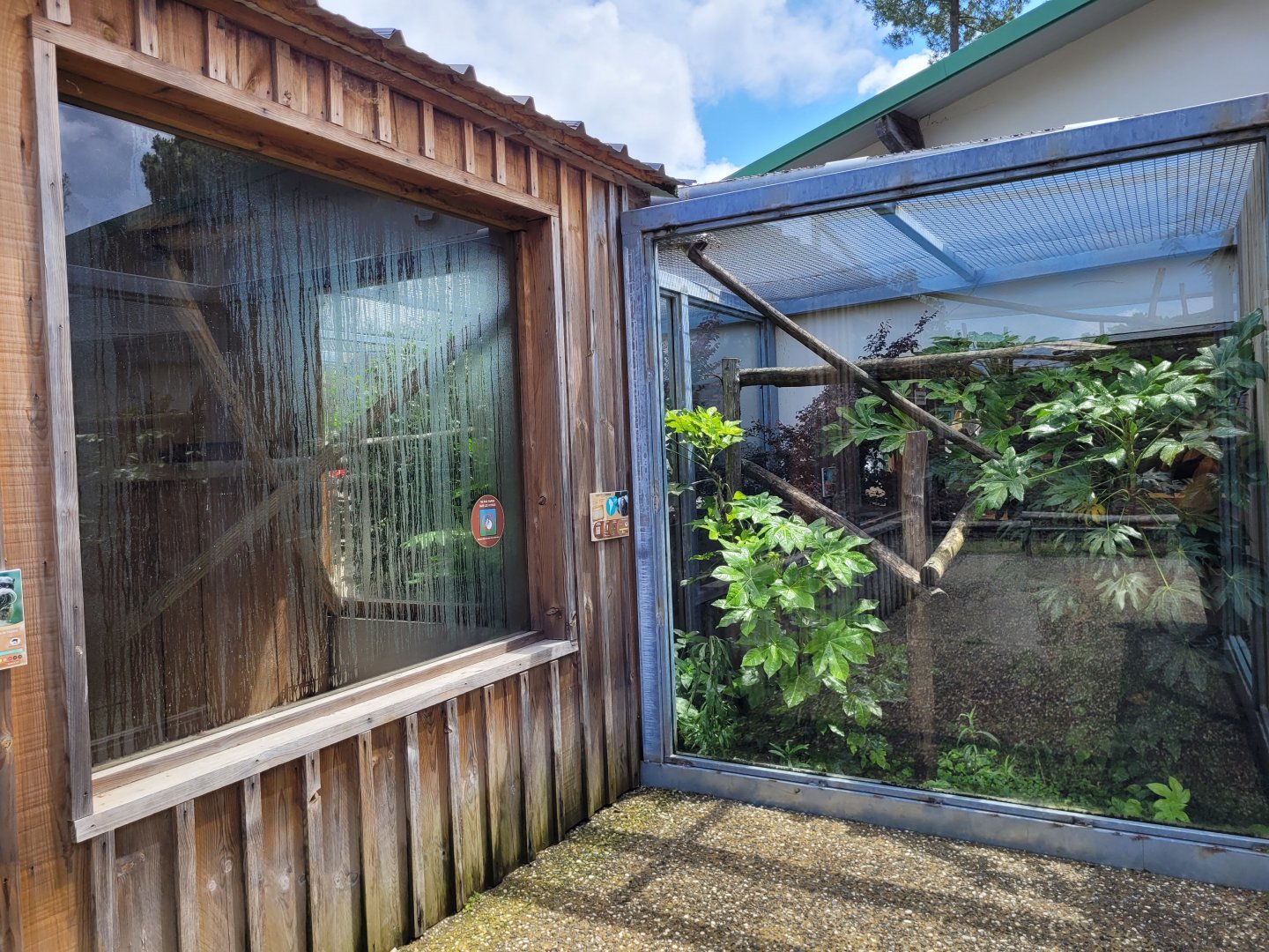 Common marmoset exhibit and Bearded emperor tamarin indoors -Zoo du bassin d'Arcachon (2024)