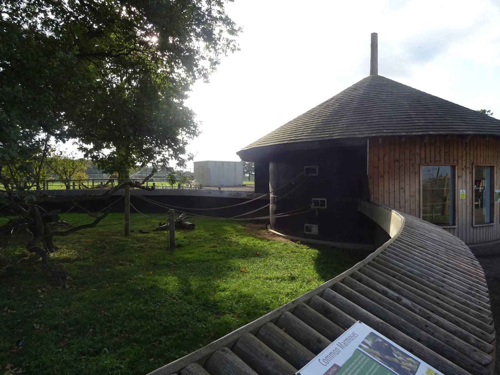 Common Marmoset Exhibit at Yorkshire Wildlife Park