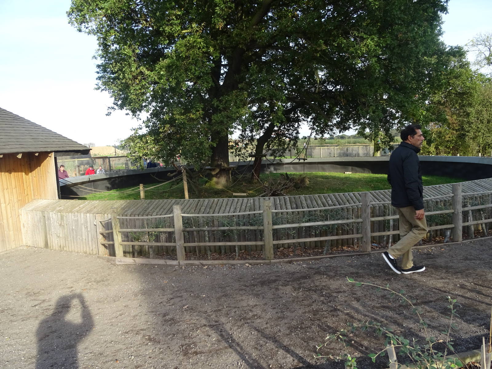 Common Marmoset Exhibit at Yorkshire Wildlife Park