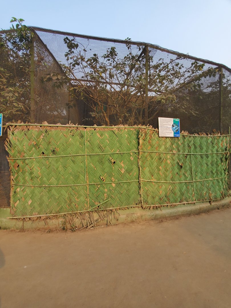 Common Marmoset Exhibit - January 2023