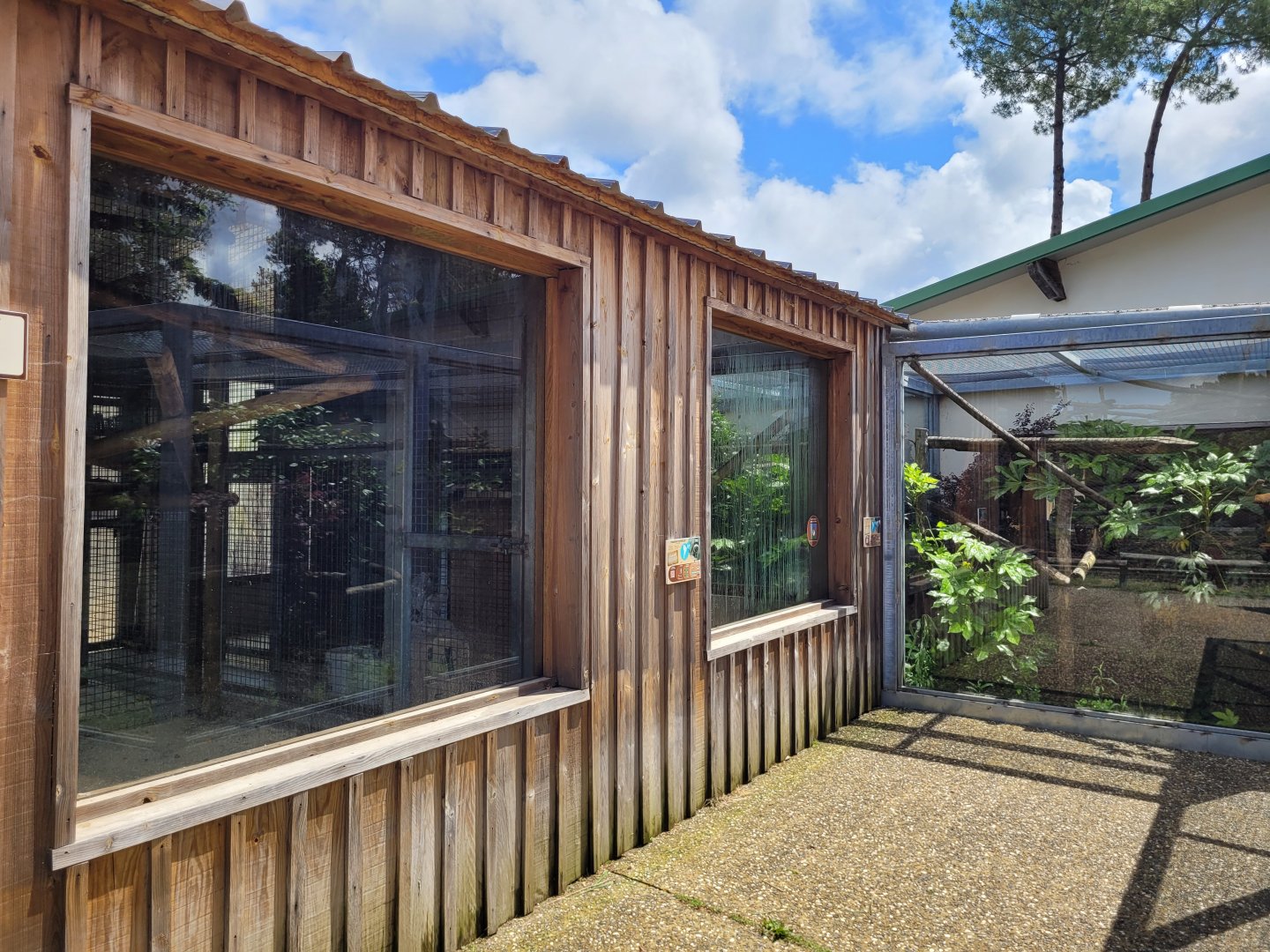 Common marmoset exhibit, tamarin and capuchin house -Zoo du bassin d'Arcachon (2024)