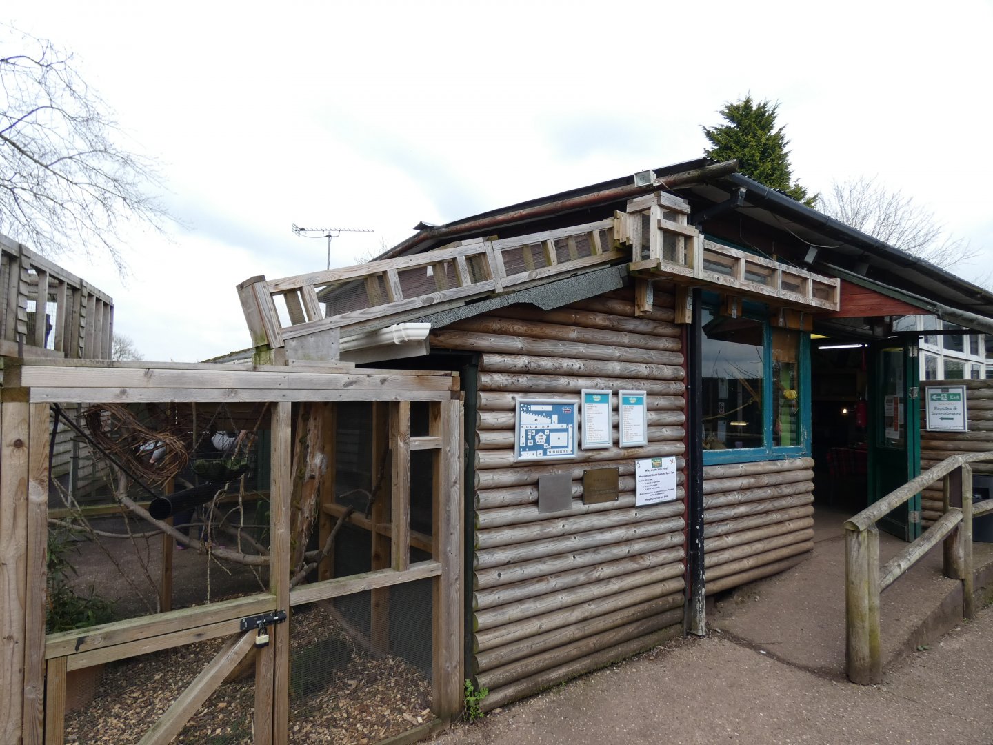 Common Marmoset Exhibit