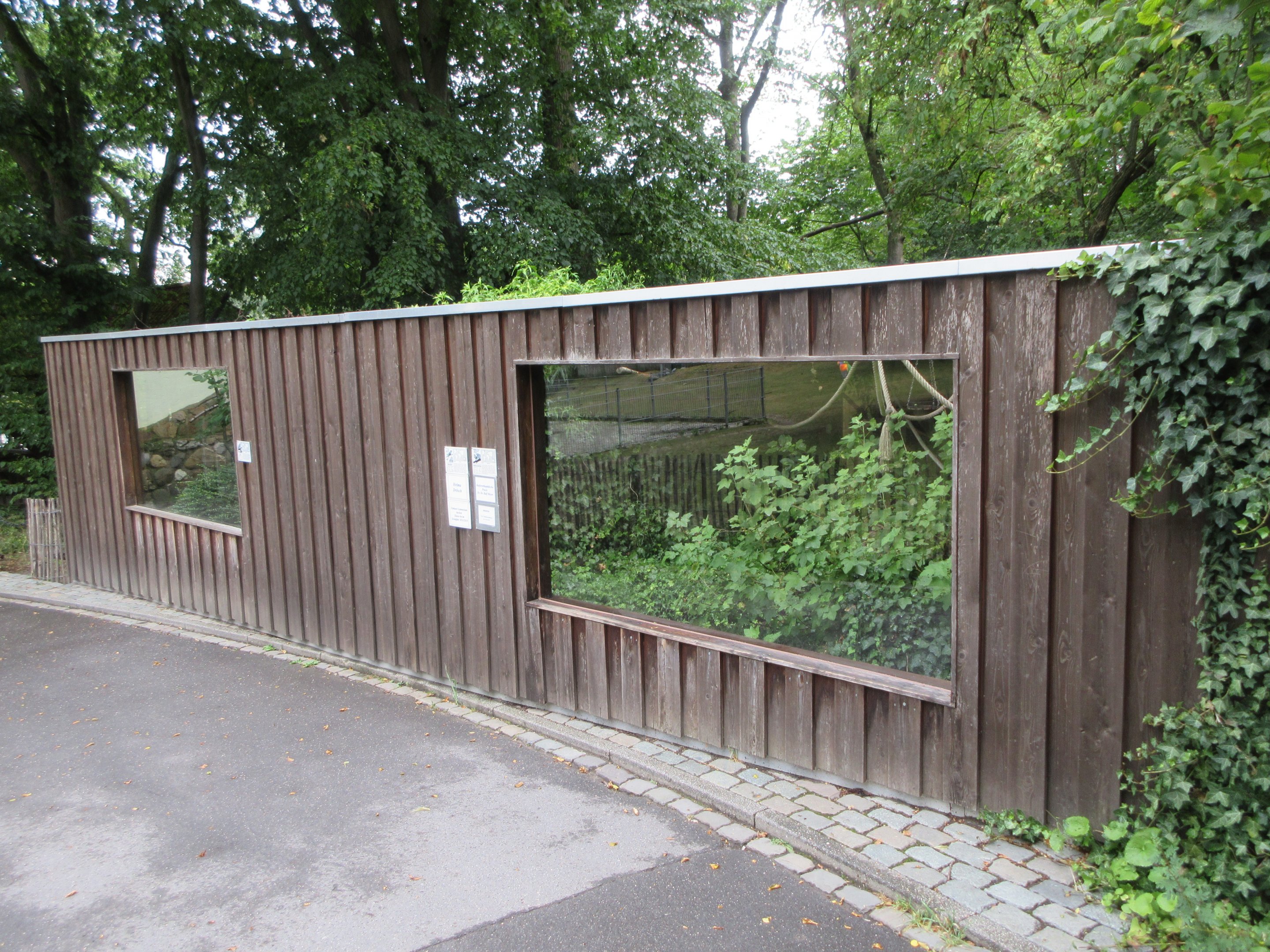 Common Marmoset Exhibit