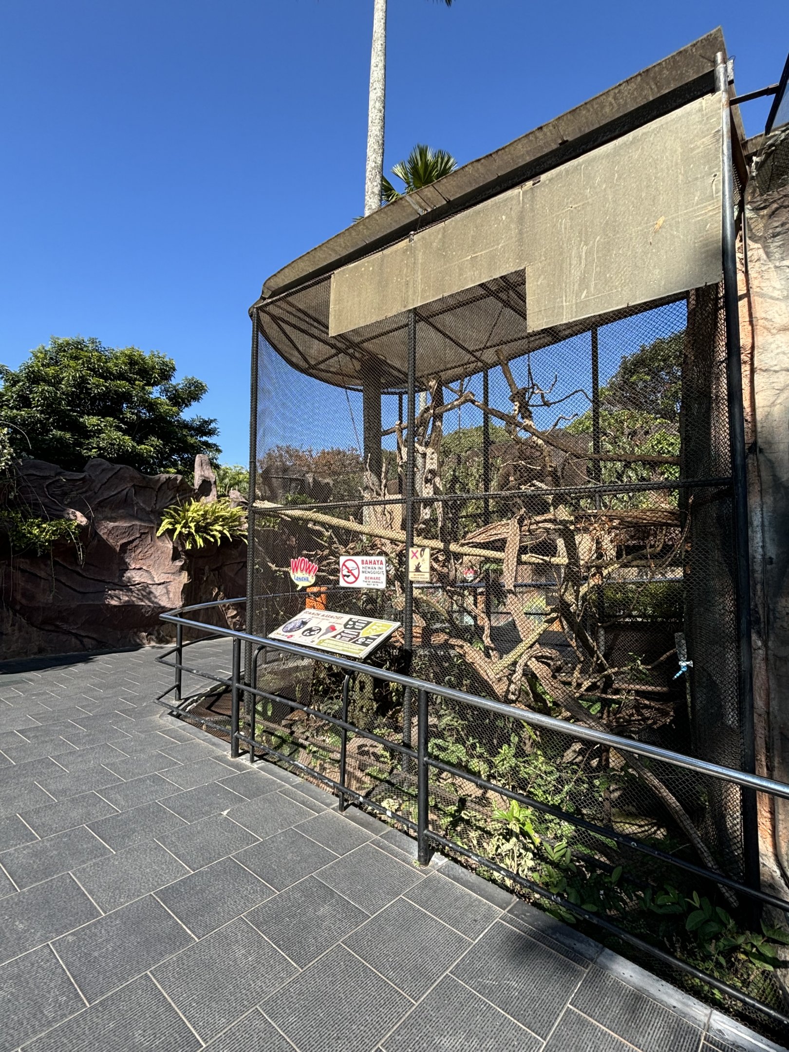 Common Marmoset Exhibit