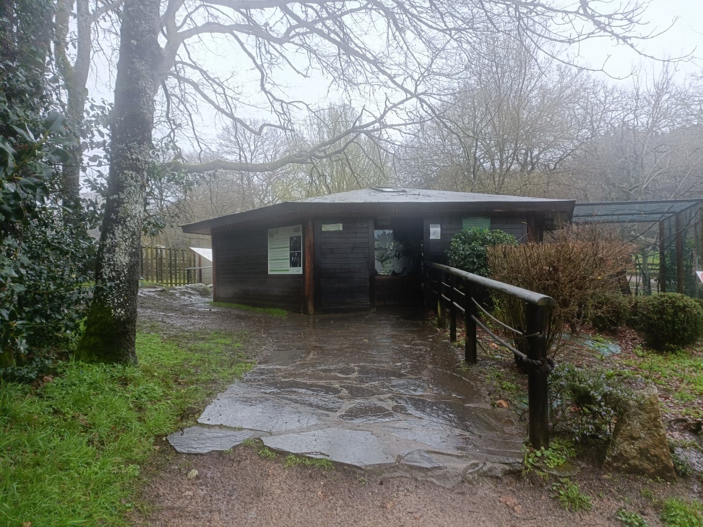 Common marmoset house -Marcelle Naturaleza