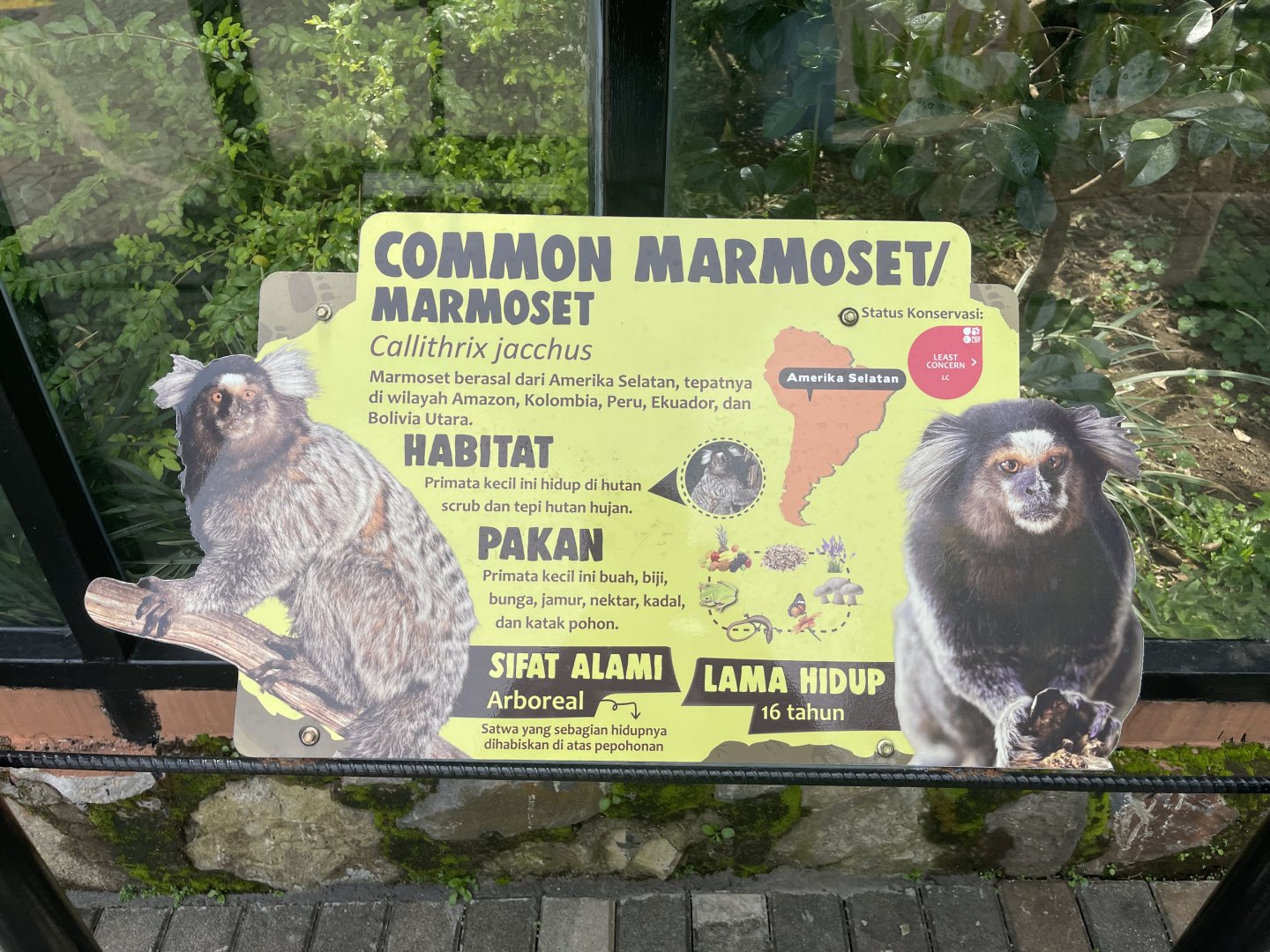 common marmoset signage