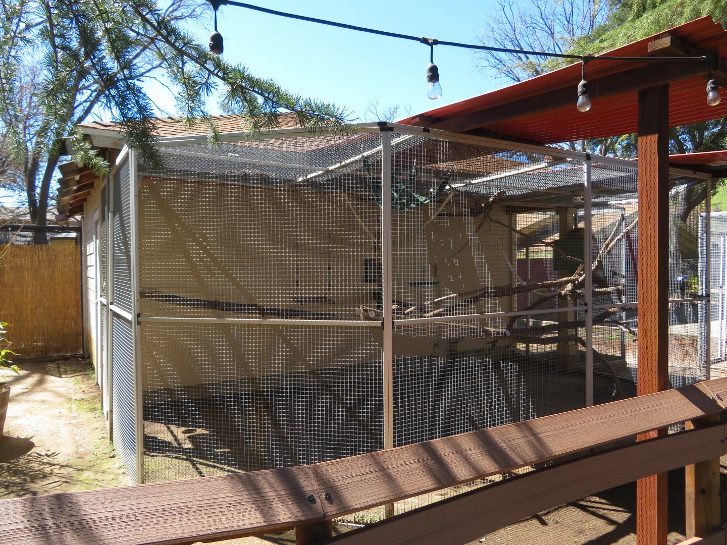 Common Marmoset/Tamandua Exhibit