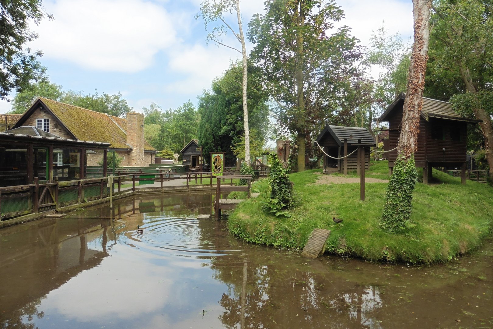 Common Marmoset & White-lipped Tamarin island & lake