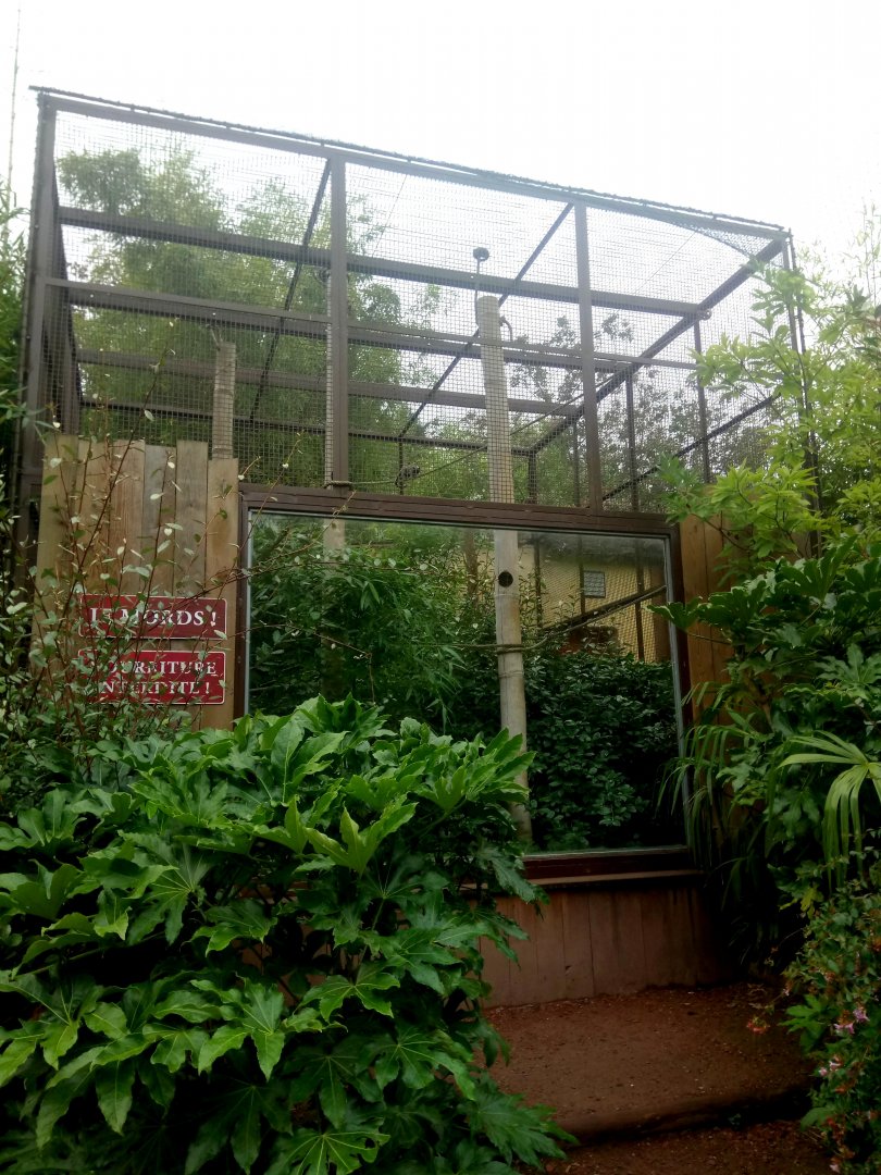 Common Marmosets Exhibit