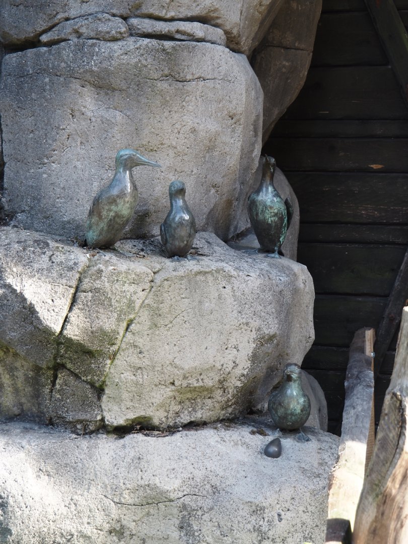 Common murre statues, 2024-06-30