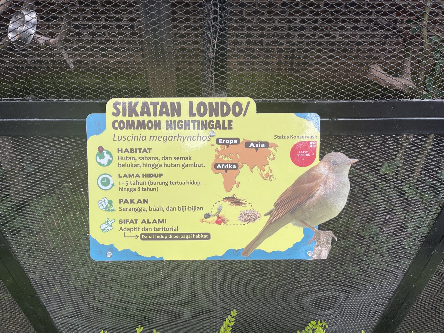 common nightingale signage