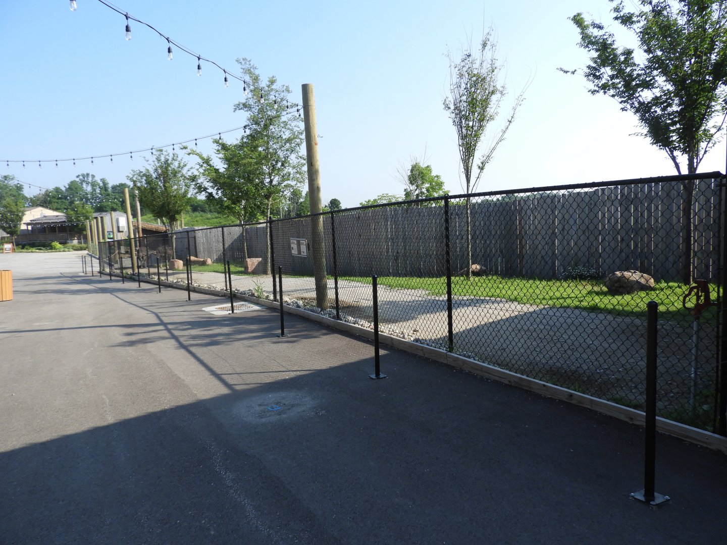 Common Ostrich exhibit