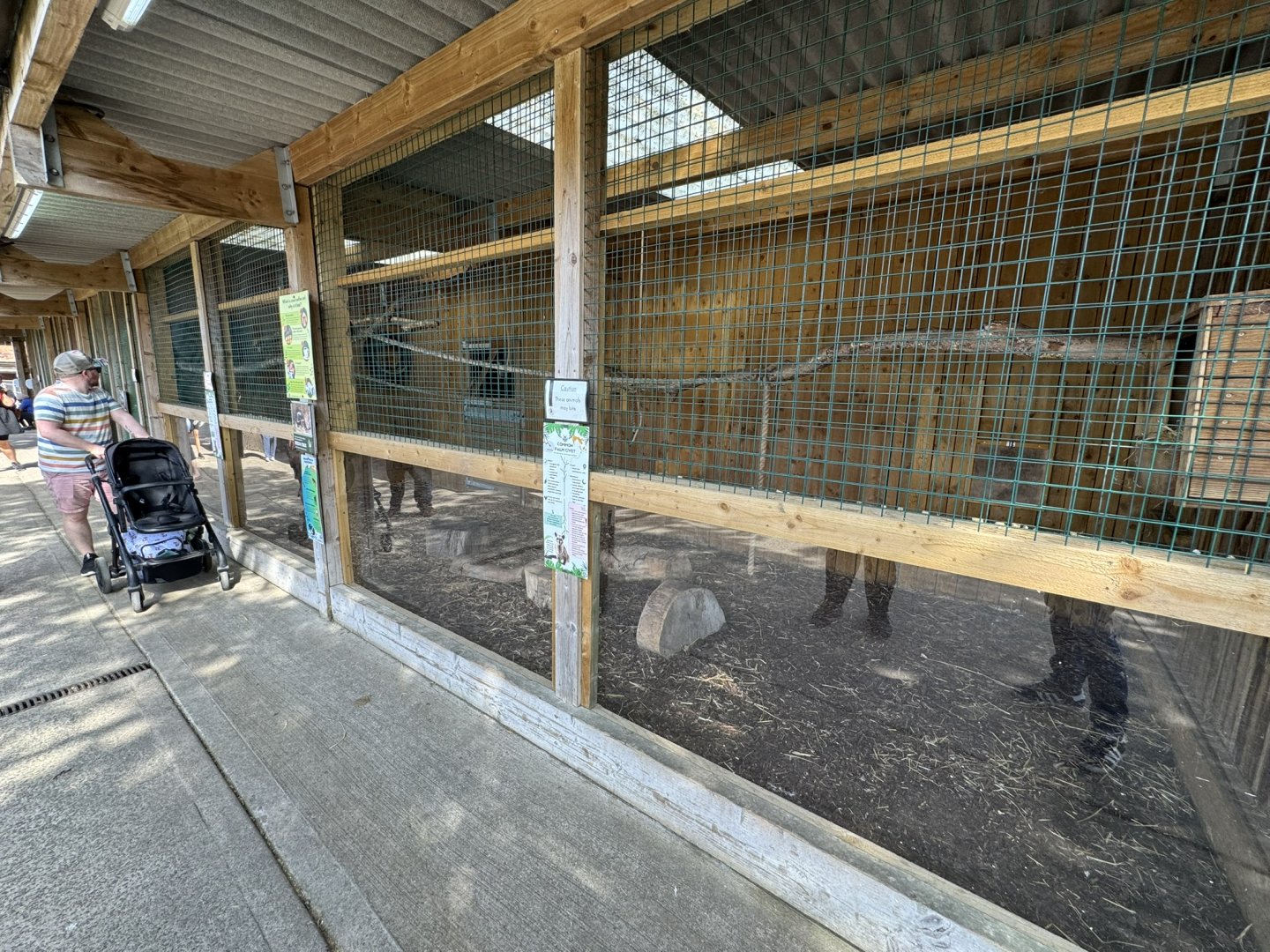 Common Palm Civet Enclosure at Wentworth Garden Centre (May 2025)