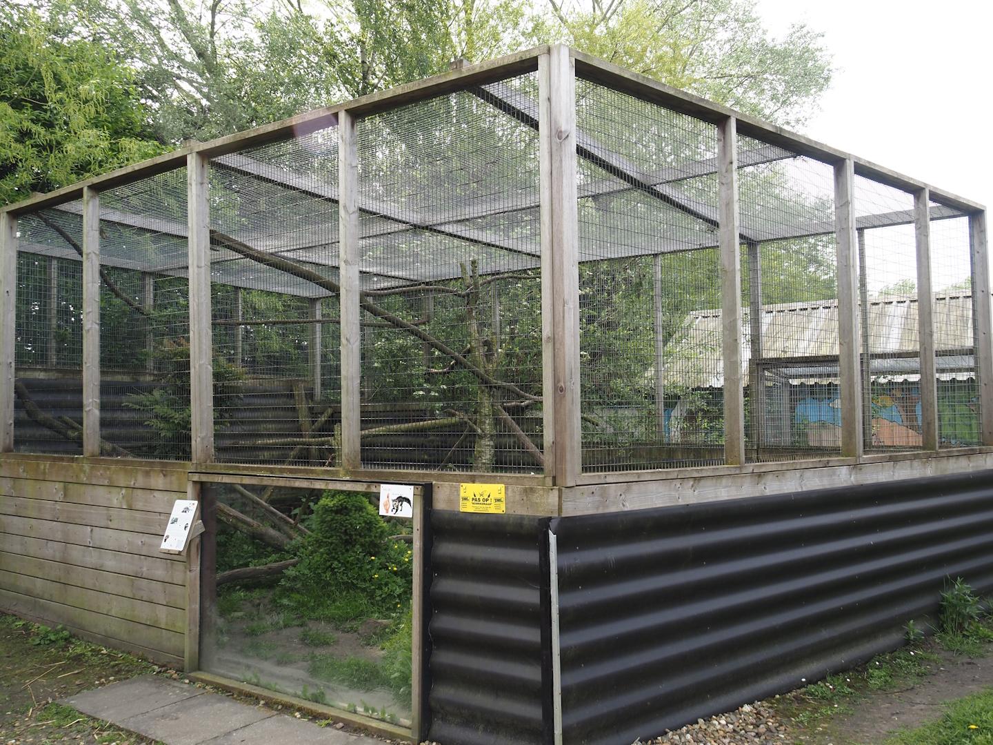 Common palm civet exhibit, 2024-05-11