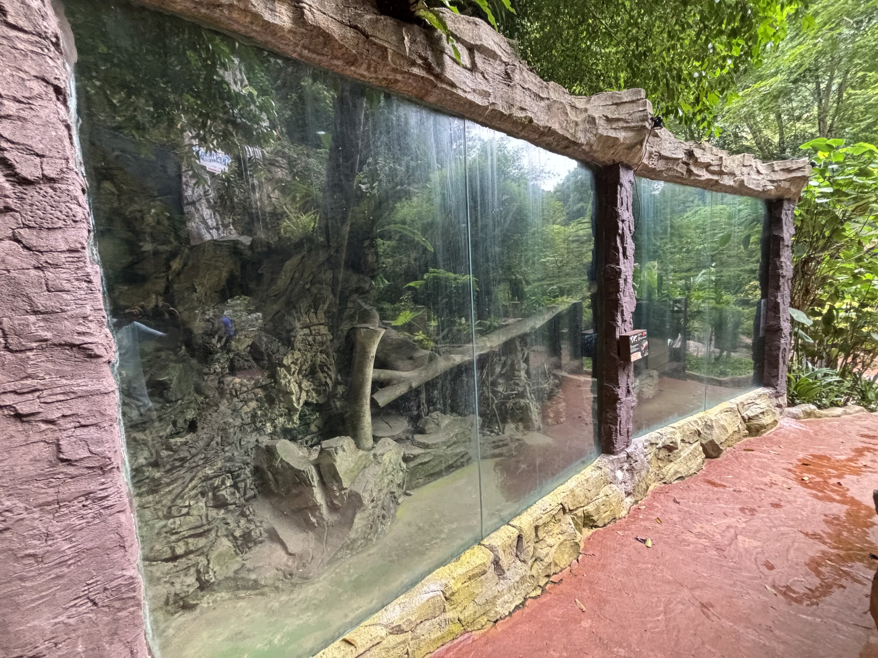 Common Palm Civet Exhibit - Lost World of Tambun