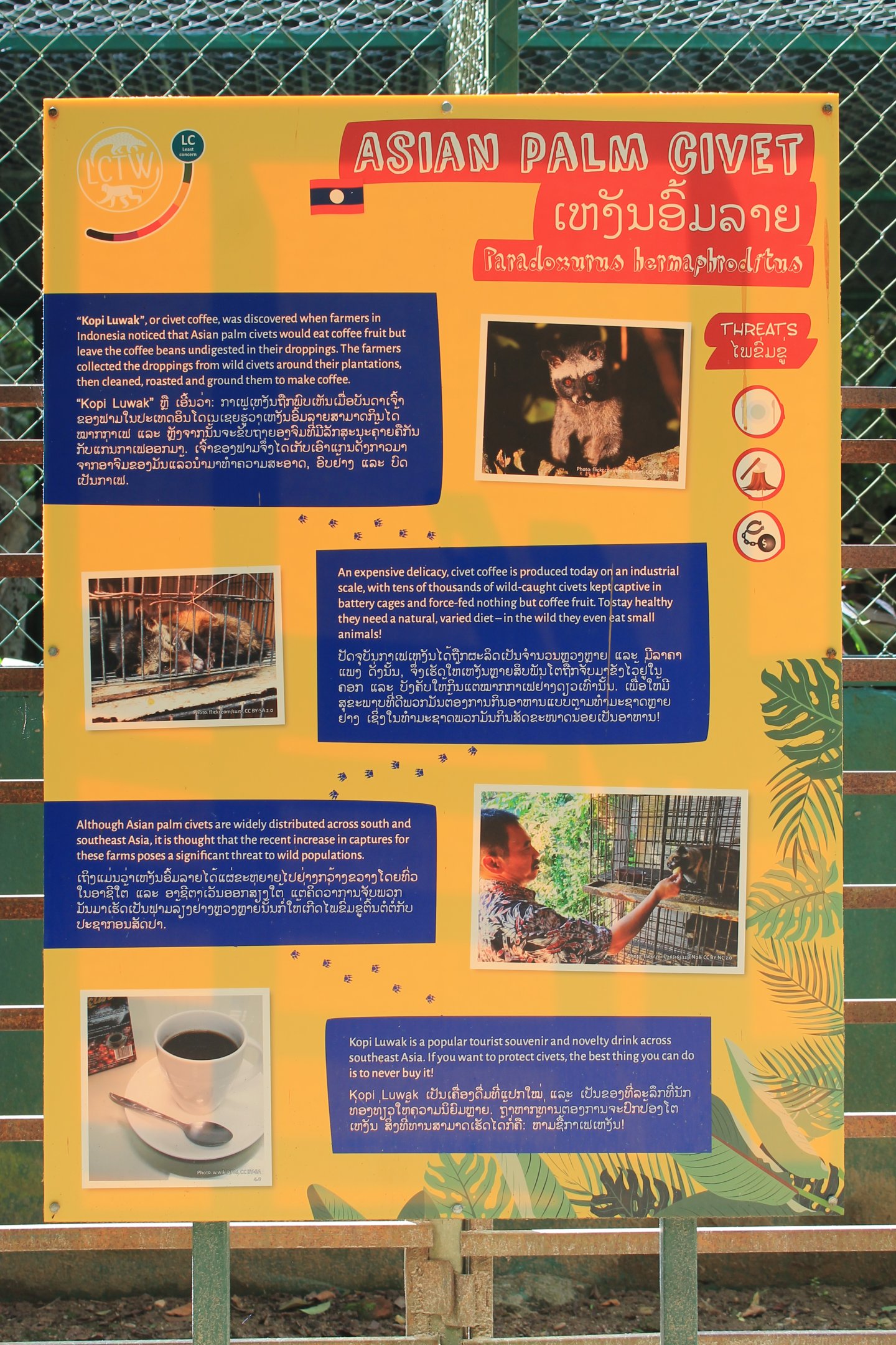 Common Palm Civet signage